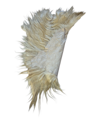 Hakiki Deri Keçi Postu 60cmx80