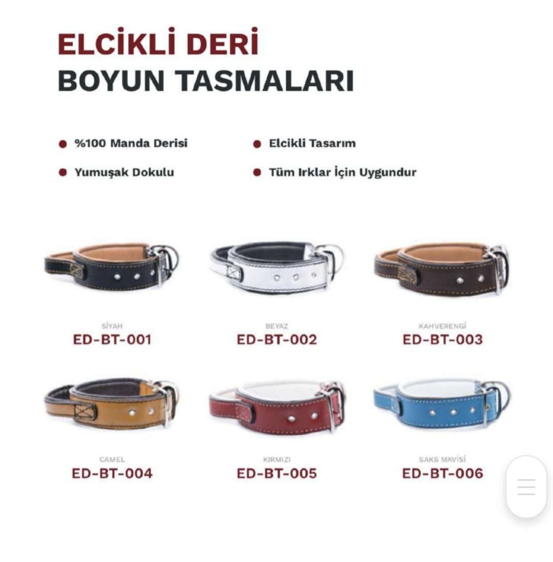 Hakiki Deri Köpek Tasması Elcikli