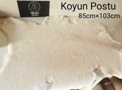 Koyun Postu